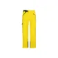 Ginger Yellow