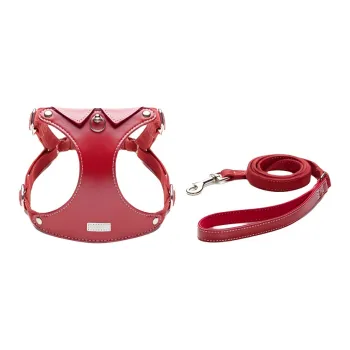 UFBemo Leashes