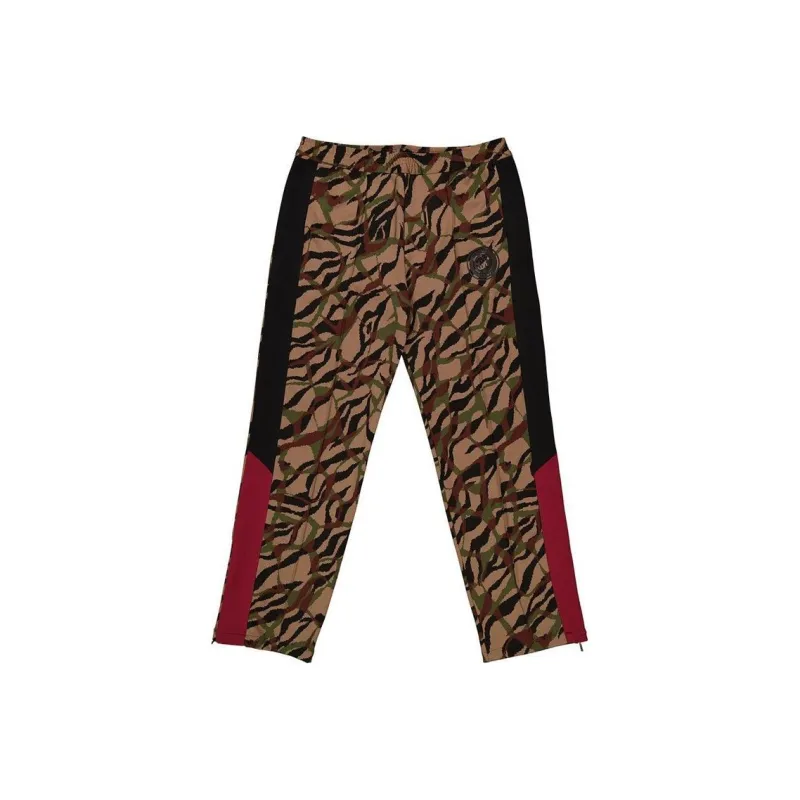 Roberto Cavalli Knitted Sports Pants Men's Multicolor-0