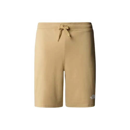 THE NORTH FACE MEN'S GRAPHIC LIGHT SHORTS Casual Shorts Men's office-accessories