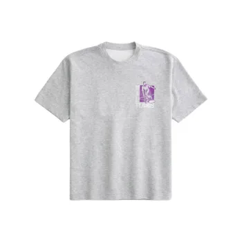 Hollister T Shirts Men Gray