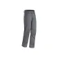 Gray/Harrier