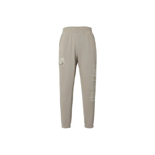 Under Armour Casual pants from Men's Taupe