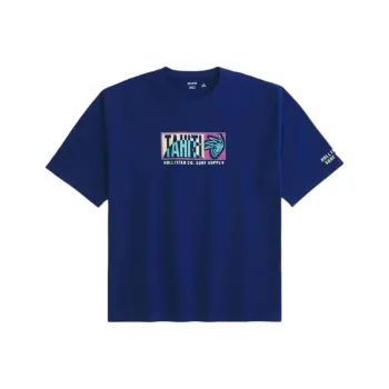 Hollister T Shirts Men Blue