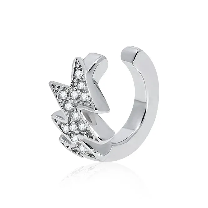 ZANC Alloy Clip On Earrings Unisex-0