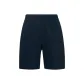 Dark Blue/CCNY