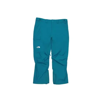 THE NORTH FACE Men's Freedom Pants