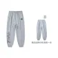 Gray (Comes with Brand Pants Gray)