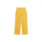 Ginger Yellow