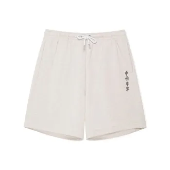 LiNing China Li Ning Casual Shorts Men Gray