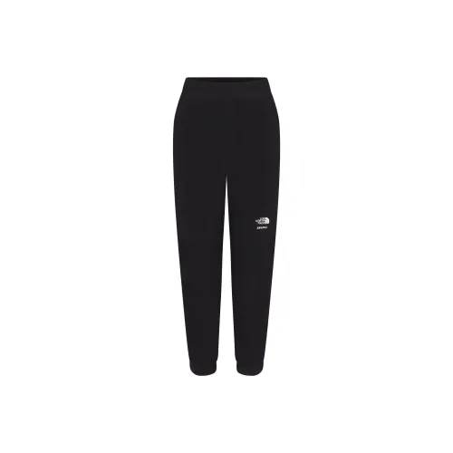 THE NORTH FACE X Tnf 1995 Retro Denali Fleece Pant