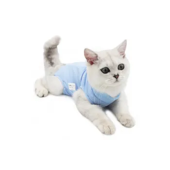 A good thing Pet Clothing