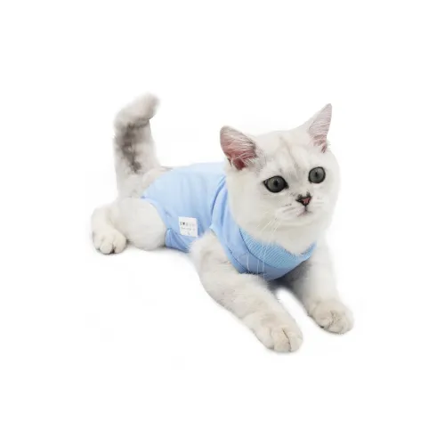A good thing Pet Clothing