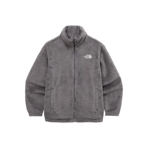 THE NORTH FACE THE NORTH FACE Apparel Collection Jacket Unisex Gray
