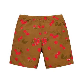 Supreme Nylon Water Short SS19