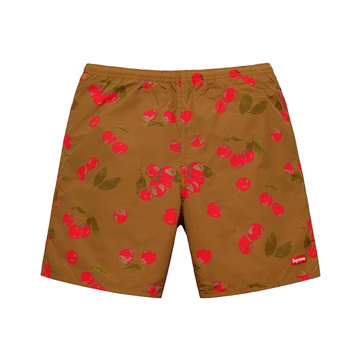 Supreme Nylon Water Short SS19-0