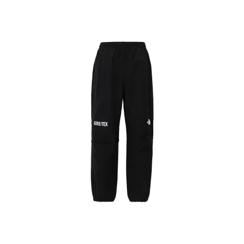 THE NORTH FACE Gtx Mountain Pant