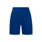 Blue Charcoal