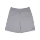 Light Gray (806)