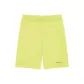 Acid Yellow