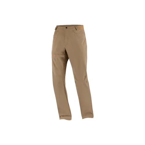 SALOMON WAYFARER Casual Pants Men's Coffee