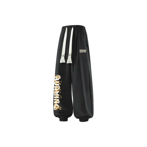 WHOLE EARTH Casual Pants Unisex