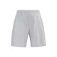 Light Gray/SLTC