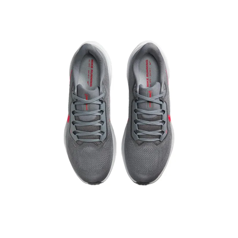 Nike Air Zoom Pegasus 41 Cool Grey Wolf Grey Pure Platinum Bright Crimson-2