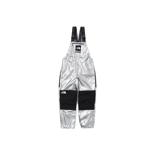 Supreme The North Face Metallic Mountain Bib Pants