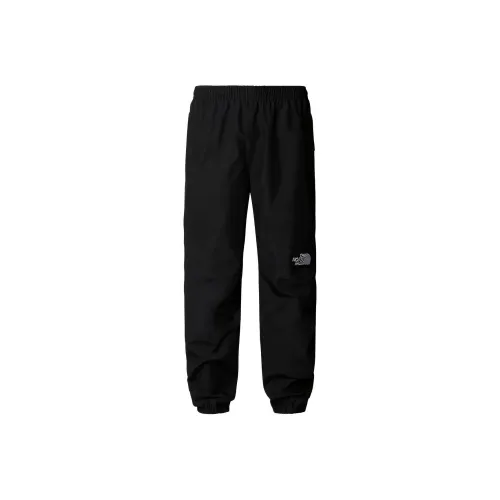 THE NORTH FACE Men's GORE TEX® Mountain Pants