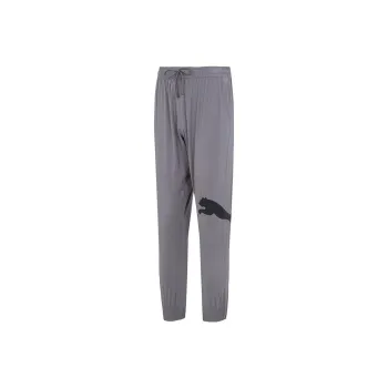 PUMA PTC Casual Pants Men Gray