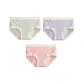 3 Pack[Light Green+Gray Blue+Cameo Brown]