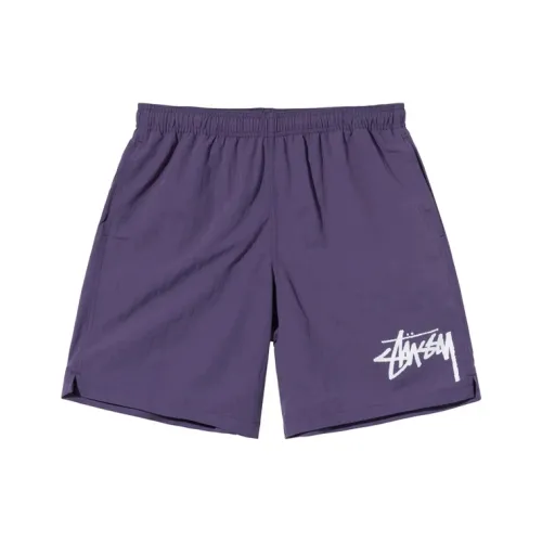 Stussy Big Stock Water Short