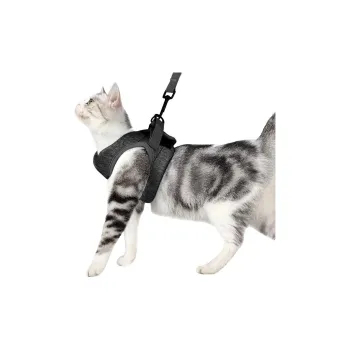 A good thing Leashes