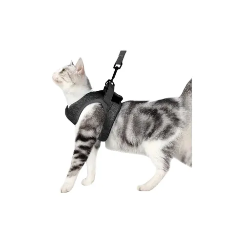 Hippie dogs Leashes