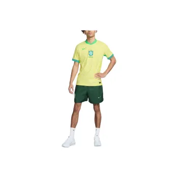 Nike Casual Shorts Men's Professional Green