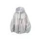 Silver Snow Gray