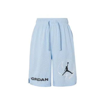 Jordan Casual Shorts Men's Blue