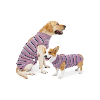 A good thing Pet Clothing