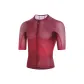 421 Bordeaux Red