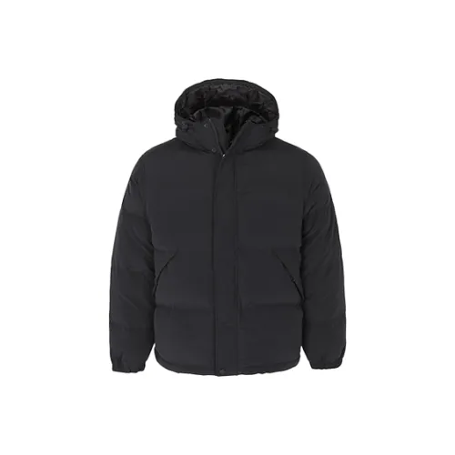 Timberland Puffer Jacket Men's Black