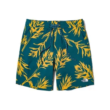 THE NORTH FACE Casual Shorts Men Blue