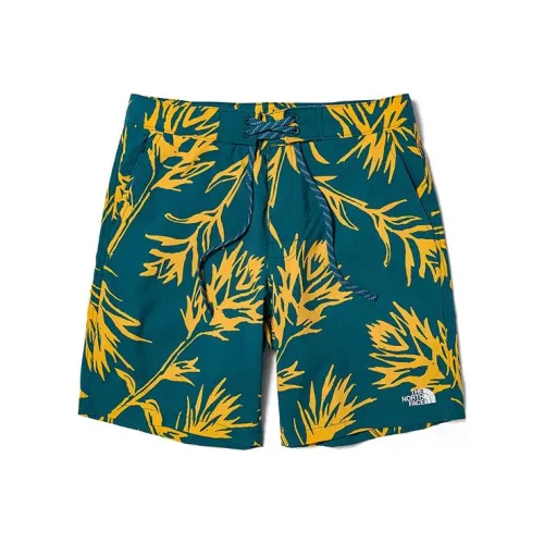 THE NORTH FACE Casual Shorts Men Blue