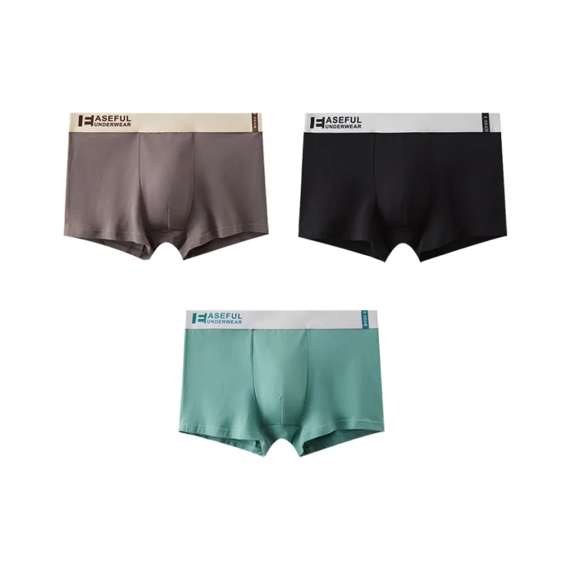 ROBINHOOD Underpants Men's 3 Pack-8