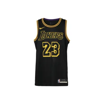 Nike Nba Lakers Lebron James Swingman Jersey