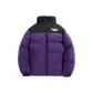 Dark Purple