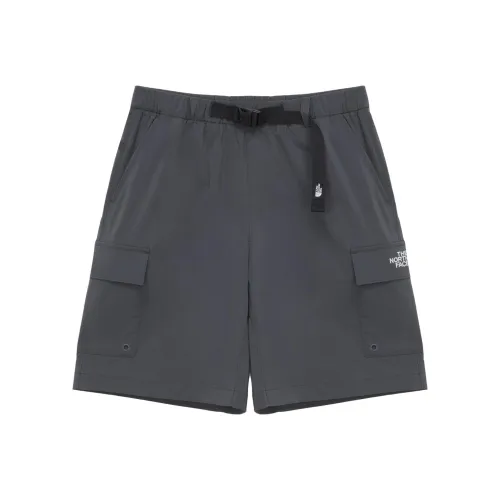 THE NORTH FACE ICE GEAR LOFT Cargo Shorts Unisex Charcoal