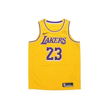 Nike LeBron James Icon Swingman Jersey
