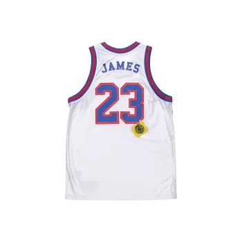 Nike LeBron X Tune Squad Dna Jersey