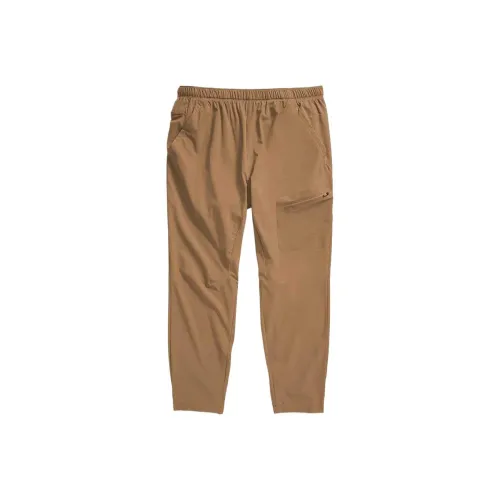 THE NORTH FACE FlashDry™ Lightstride Casual Pants Men's Brown